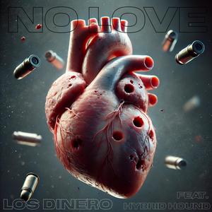 NO LOVE (feat. Hybrid Hound) (Explicit)