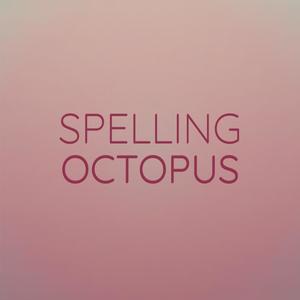 Spelling Octopus