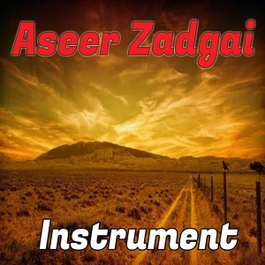 Aseer Zadgai (Instrumental)