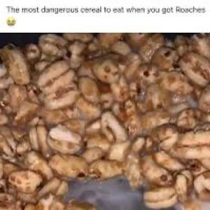 roaches in the cereal (feat. munchiexo) (Explicit)