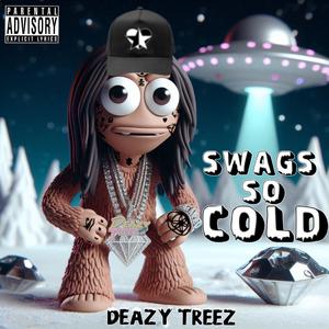 Swags So Cold (Explicit)