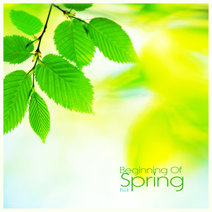 봄의 시작 (Beginning Of Spring)