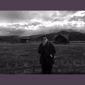 Shape of My Heart