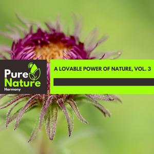 A Lovable Power of Nature, Vol. 3