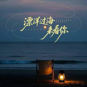 漂洋过海来看你 (为了你我用了半年的积蓄) (伴奏)