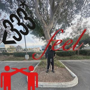 bathing ape (Explicit)