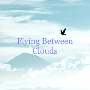 Flying Between Clouds