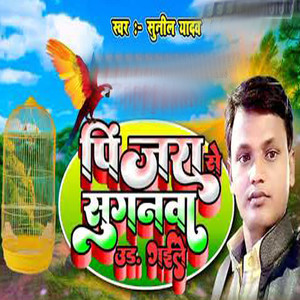 Pinjara Se Suganwa Ud Gaile