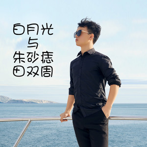 白月光与朱砂痣 (Remix)