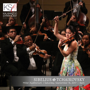 Violin Concerto in D Minor, Op. 47 - III. Allegro ma non tanto