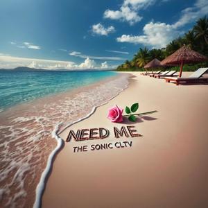 Need Me (feat. DefKee, BTrack3 & SND)