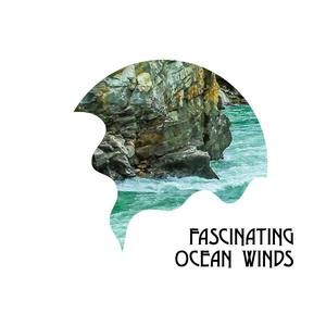 Fascinating Ocean Winds