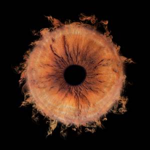 Decisión (Explicit)