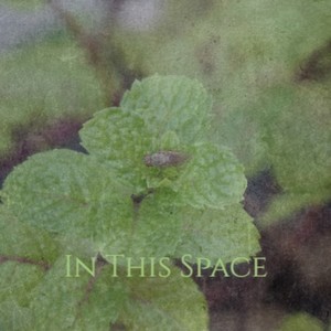 In This Space