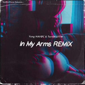 In My Arms (feat. TornwolfTW) (Remix|Explicit)