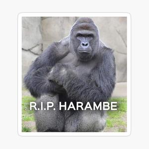 Harambe, I Miss You. (feat. Seanders & Calvin Brooks) [Explicit]