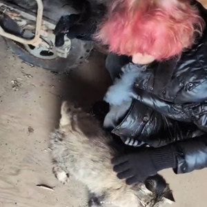 Touch the Sun (Explicit)