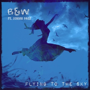 Flying in the Sky (Claster DJ Mix)