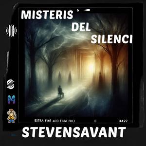 Misteris del Silenci