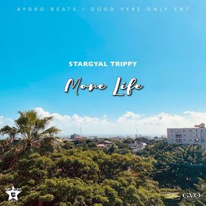 MORE LIFE