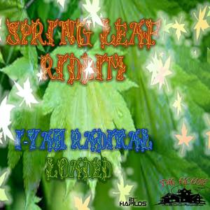 Spring Leaf Riddim