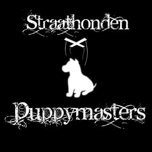 Puppymasters