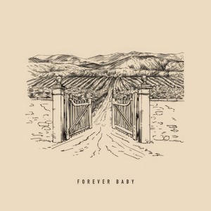 Forever Baby (TÂCHES Remix)