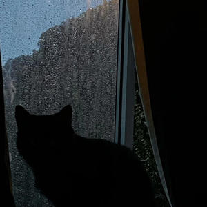 feel something (feat. Tuff2luhv)