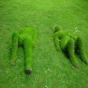 grass (Explicit)
