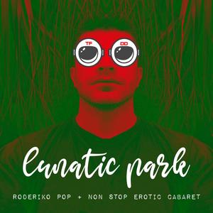 Lunatic Park (Non Stop Erotic Cabaret Remix)