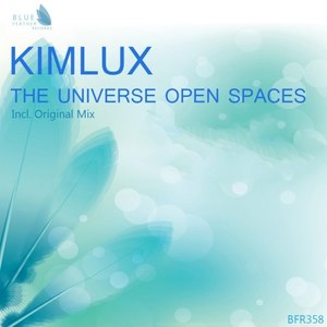 The Universe Open Spaces