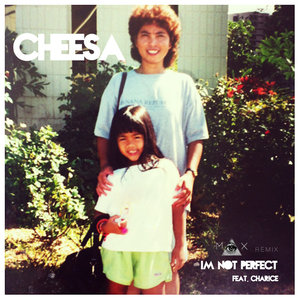 I'm Not Perfect (Max Stark Remix)