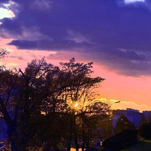 idk what love is (Explicit)