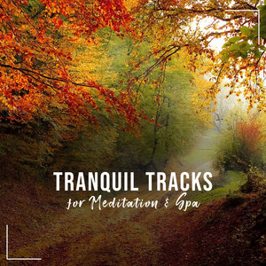 16 Tranquil Tracks for Meditation, Yoga & Spa