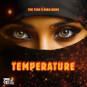 Temperature (feat. King Rome)