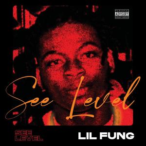 See Level