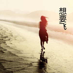 想要飞