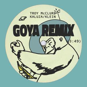 kaluza/klein (GOYA Remix)