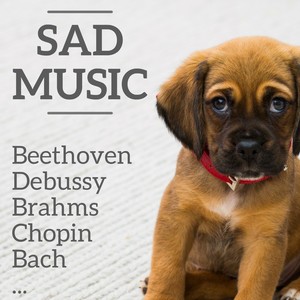 Mass in B Minor, BWV 232: No. 16, Et incarnatus est