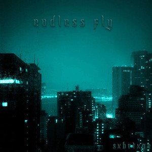 endless fly