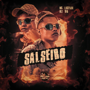 Salseiro (Explicit)