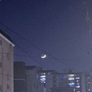 Midnight Freestyle (feat. SHUKIVE AINE, CONY)