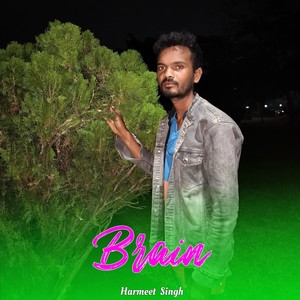 Harmeet Singh - Brain