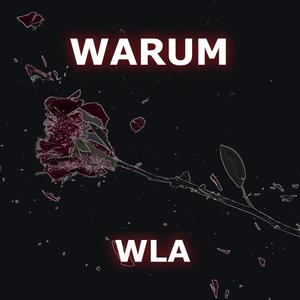 WARUM (Explicit)