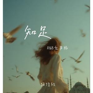 知足 (R&B女声版)封面