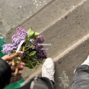 Война и мир