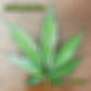 Self Medication (feat. Beta) (Explicit)