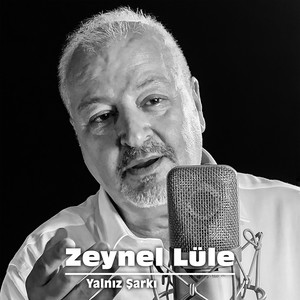 Yalnız Şarkı