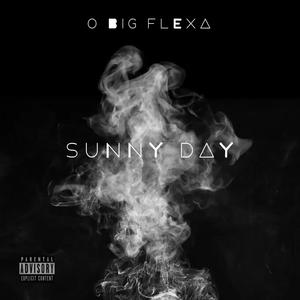 Sunny Day (Explicit)