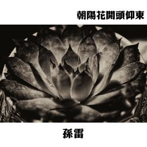 朝阳花开头仰东